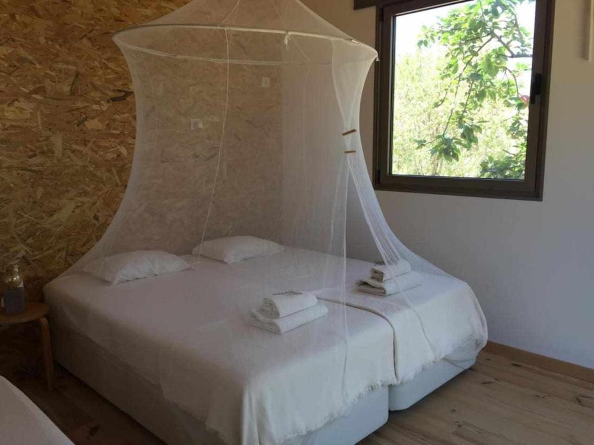 Biovilla Sustentabilidade パルメラ エクステリア 写真