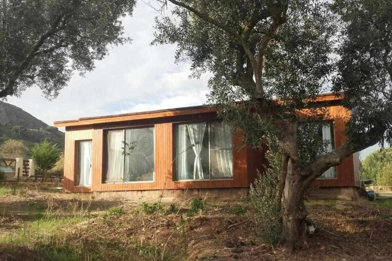 Biovilla Sustentabilidade パルメラ エクステリア 写真